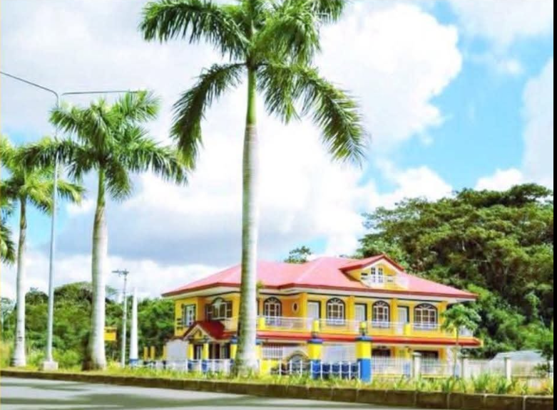 Pecan Pension House framed by palm trees along the highway to Iloilo International Airport