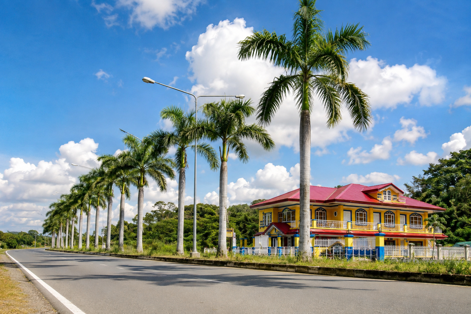 Palm-lined highway leading past Pecan Pension House toward Iloilo International Airport